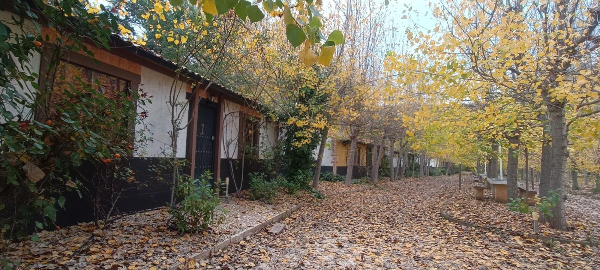 Casas Rurales Vado Del Rio Tus Cortijo Prados Exterior photo